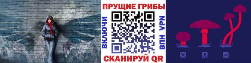 Галлюциногенные грибы мухоморы  Купить где  Петровск 